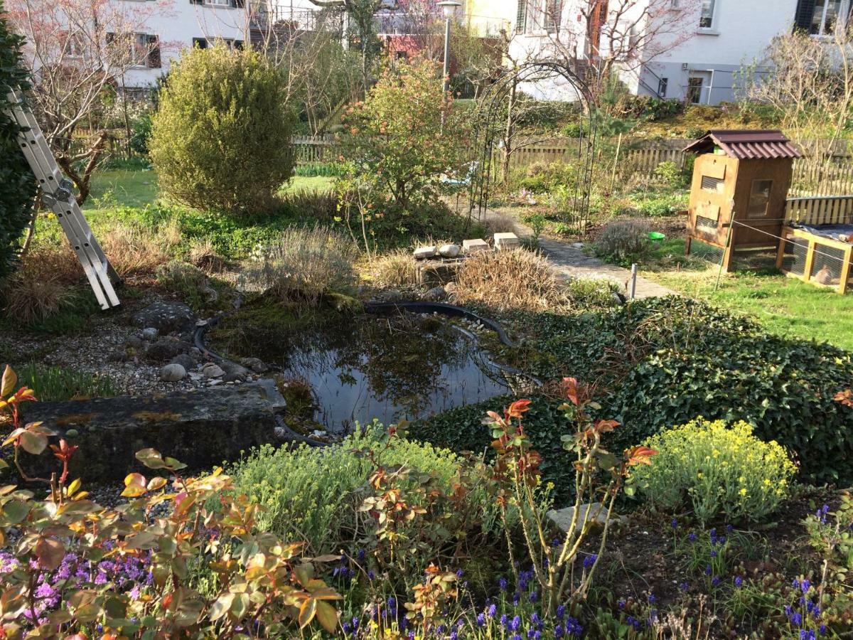 Ruhiges Gaestezimmer Winterthur Eksteriør bilde